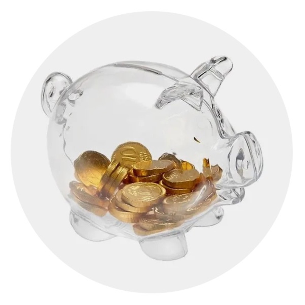 Clear plastic piggy bank nwt